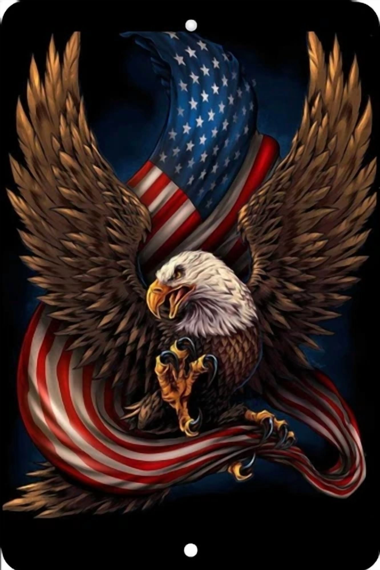 American Eagle, Home Sign, Home Decor Metal Aluminum, Usa, Black