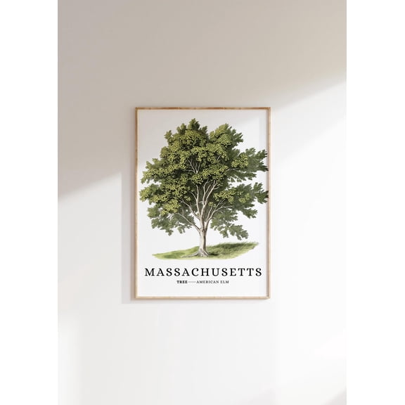 American Elm Tree Poster: Massachusetts State Symbol, Unframed Poster Size 8x12