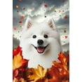 thumbnail image 1 of American Eskimo - Best of Breed Fall Leaves Outdoor Garden Flag 12" x 17" Mailbox Flag Dog Flag, 1 of 1