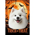 American Eskimo Best of Breed Halloween Garden Flag 12" x 17