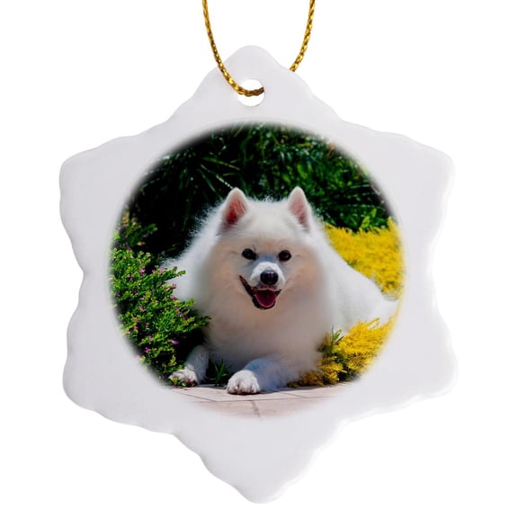 3drose, American Eskimo Lying in Garden Plants, 3 inch Snowflake Porcelain Ornament