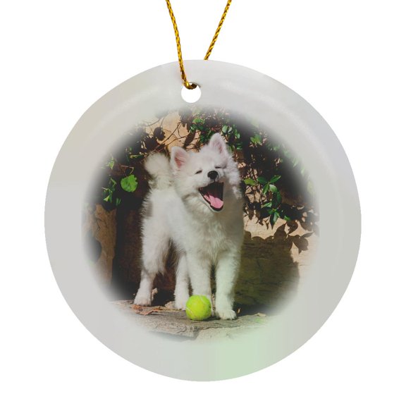3drose, American Eskimo Puppy Ready to Play Ball, Circle Porcelain Ornament