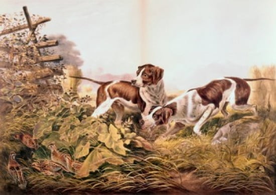 American Field Sports On a Point 1857 Currier & Ives (1834-1907 American) Color lithograph Canvas Art - Currier & Ives (18 x 24)