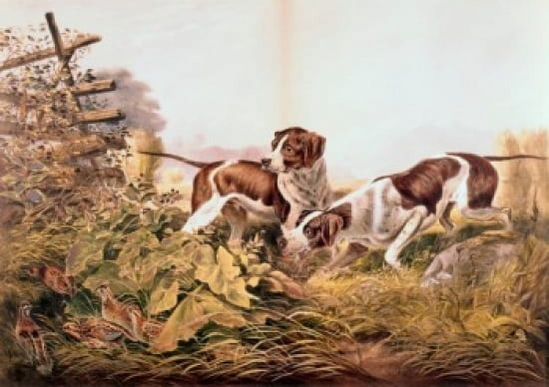 American Field Sports On a Point 1857 Currier & Ives (1834-1907 American) Color lithograph Canvas Art - Currier & Ives (24 x 36)