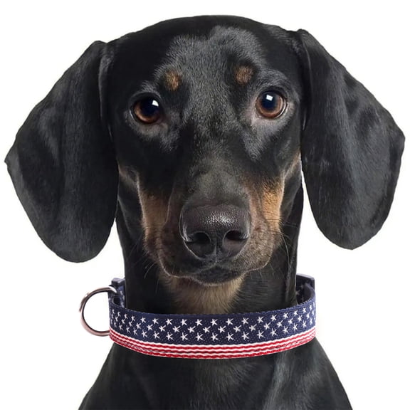 American Flag Adjustable Dog Collar, Heavy-Duty Nylon Patriotic Pet Collar with Quick Release Buckle, for 4Th Of July Independence Day, Fits Small Medium Large Dogs & Cats