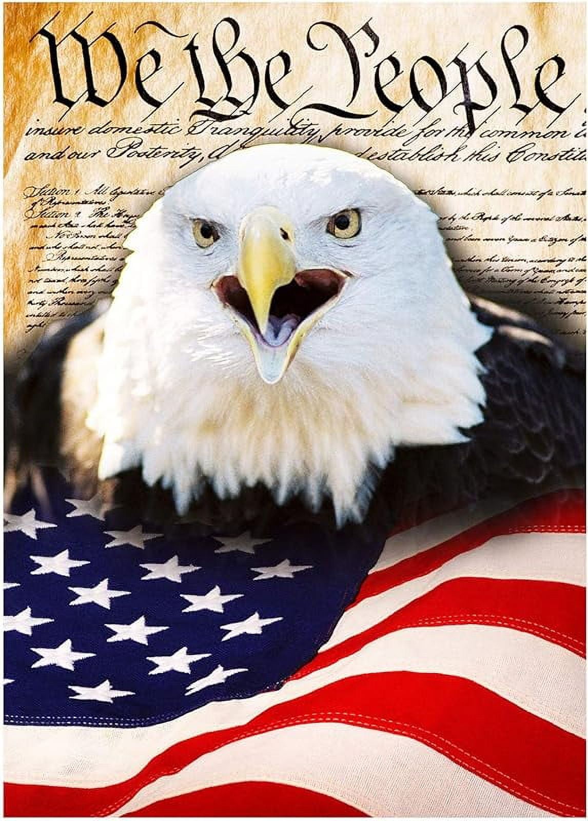 American Flag Memorial Day Bald Eagle Double Sided House Flag Garden ...