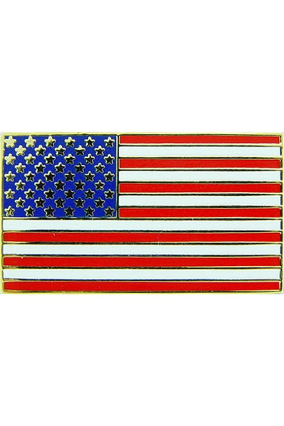Eagle Emblems P60396 Pin - USA Flag - 1 in.