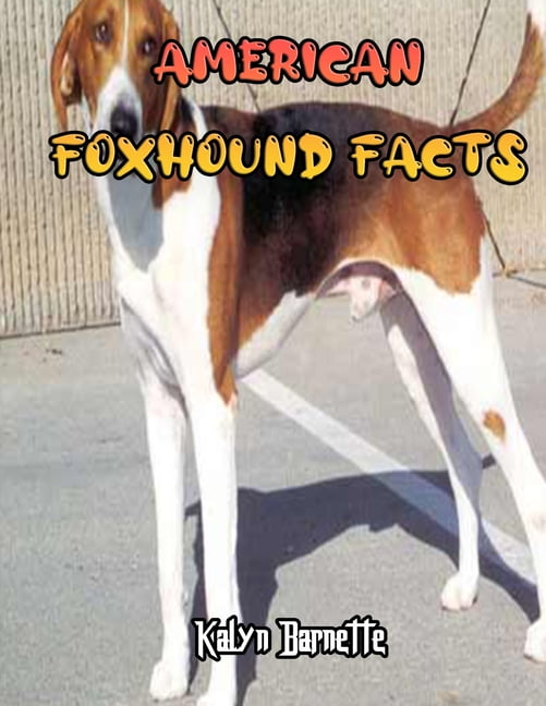 American Foxhound Facts : AMERICAN FOXHOUND fact for girl age 1-10 AMERICAN FOXHOUND fact for boy age 1-10 facts about all about AMERICAN FOXHOUND (Paperback)