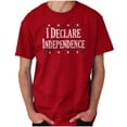 thumbnail image 1 of American Freedom Declare Independence Plus Size Crewneck Graphic Tee Shirt Brisco Brands 2X, 1 of 3