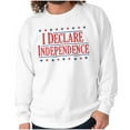 thumbnail image 1 of American Freedom Declare Independence Unisex Plus Fleece Graphic Sweatshirt Brisco Brands 4X, 1 of 6