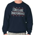 thumbnail image 1 of American Freedom Declare Independence Unisex Plus Fleece Graphic Sweatshirt Brisco Brands 3X, 1 of 6