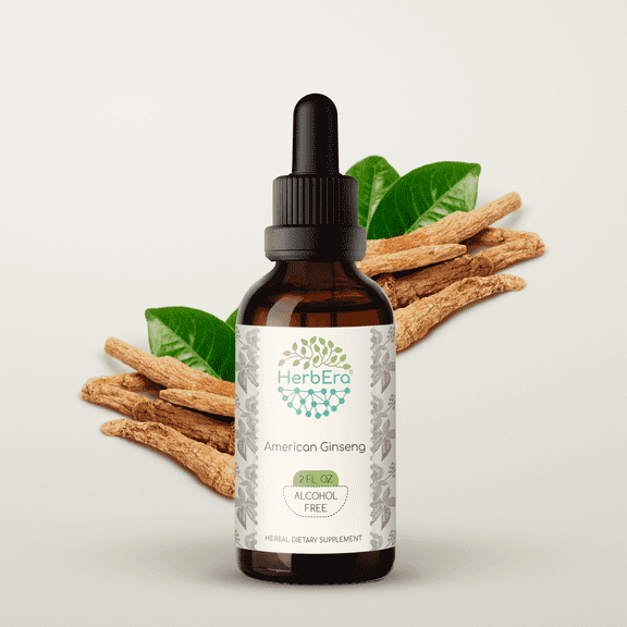 HerbEra American Ginseng Tincture, Herbal Dietary Supplement for Vitality and Energy Support, American Ginseng (Panax Quinquefolius) Dried Root Extract, Natural, Alcohol-Free, Drops 2 oz