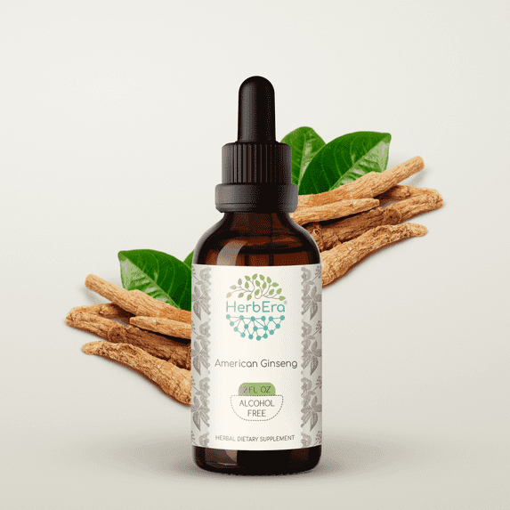 HerbEra American Ginseng Tincture, Herbal Dietary Supplement for Vitality and Energy Support, American Ginseng (Panax Quinquefolius) Dried Root Extract, Natural, Alcohol-Free, Drops 2 oz