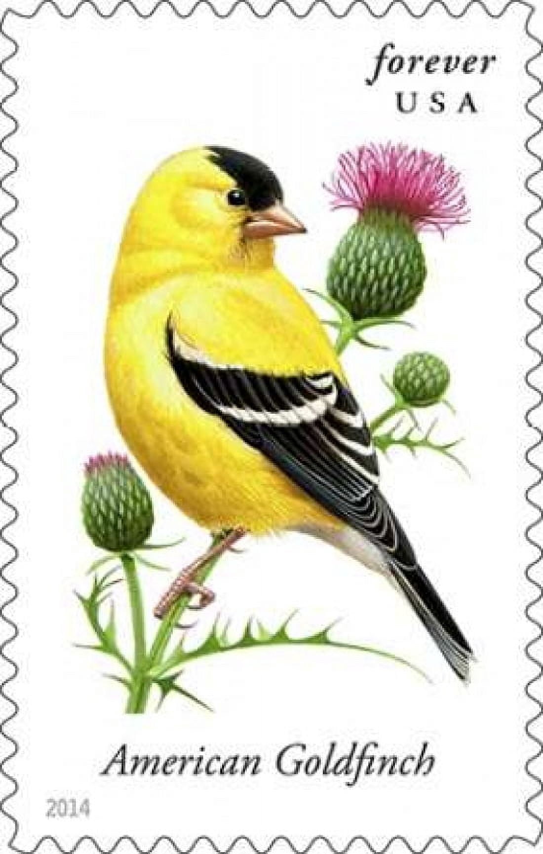 American Goldfinch Canvas Art - US POSTAL SERVICE (24 x 36)