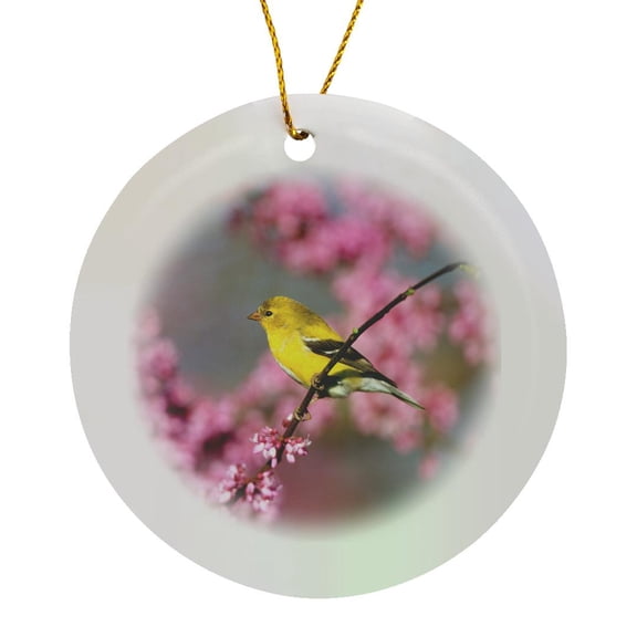 3drose, American Goldfinch Female in Eastern Redbud, Marion, Il, Circle Porcelain Ornament