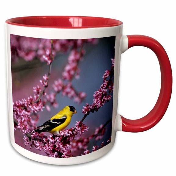 3drose, American Goldfinch Male in Eastern Redbud Tree, Marion, Il, 11oz Two-tone Red Mug
