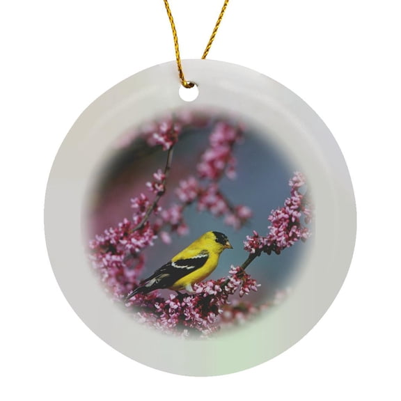 3drose, American Goldfinch Male in Eastern Redbud Tree, Marion, Il, Circle Porcelain Ornament