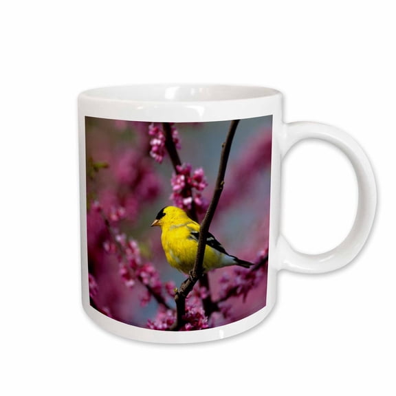 3drose, American Goldfinch Male in Redbud Tree, Marion, Il, 11oz Mug