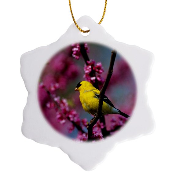 3drose, American Goldfinch Male in Redbud Tree, Marion, Il, 3 inch Snowflake Porcelain Ornament