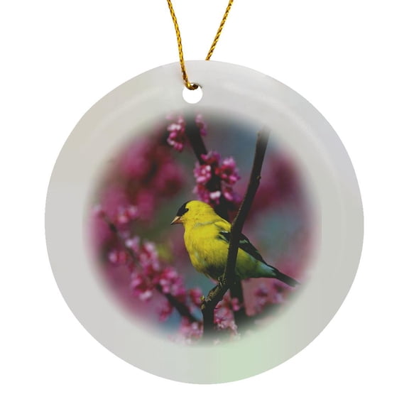 3drose, American Goldfinch Male in Redbud Tree, Marion, Il, Circle Porcelain Ornament