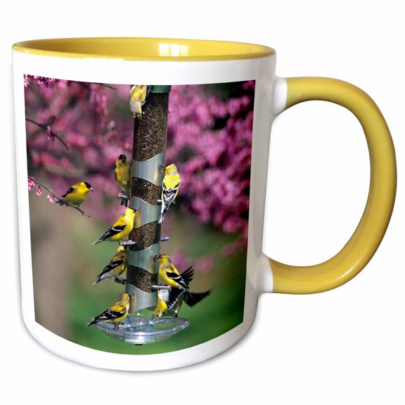 3drose, American Goldfinches on Thistle Tube Feeder in Redbud Tree, Marion, Il, 11oz Two-tone Yellow Mug