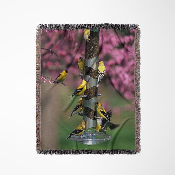 American Goldfinches On Thistle Tube Feeder In Redbud Tree, Marion, Il, Woven Blanket