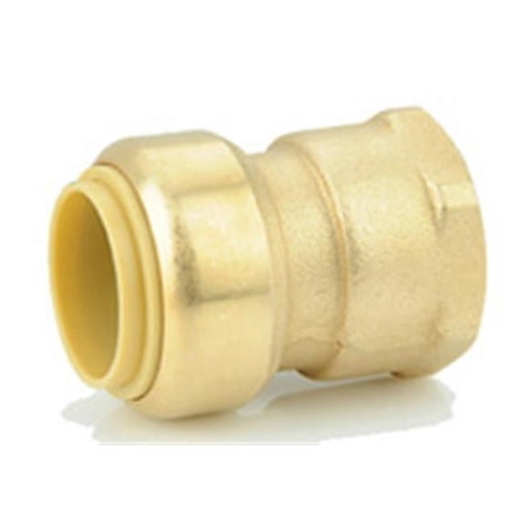 American Granby BPFA3-4NL No Lead Brass Push on Female Adapter - 0.75 in.