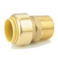 thumbnail image 1 of American Granby BPMA3-4NL No Lead Brass Push on Male Adapter - 0.75 in., 1 of 8