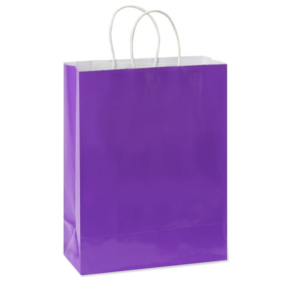 American Greetings 10 in. Medium Purple Gift Bag for All Occasions (1-Count)