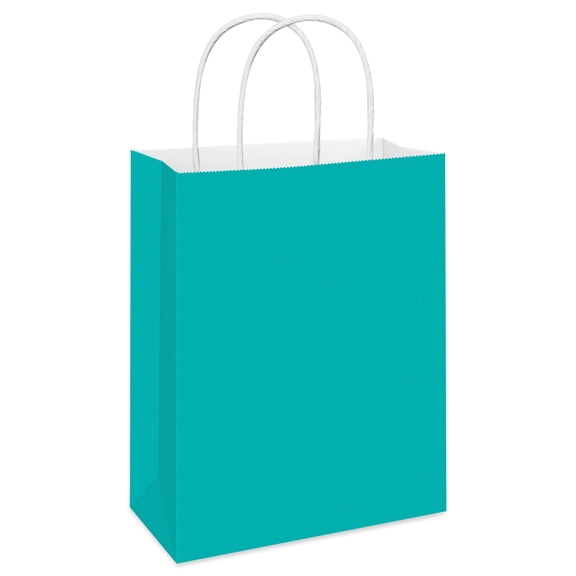 American Greetings 13 in. Large Solid Aqua Gift Bag for All Occasions (1-Count)