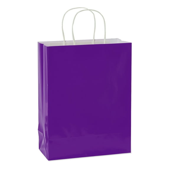 American Greetings 13 in. Large Solid Purple Gift Bag for All Occasions (1-Count)
