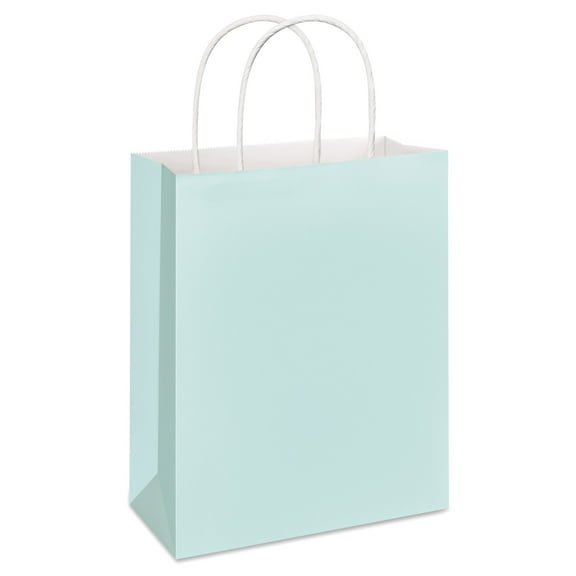 American Greetings 9.75 in. Medium Mint Gift Bag for All Occasions (1-Count)