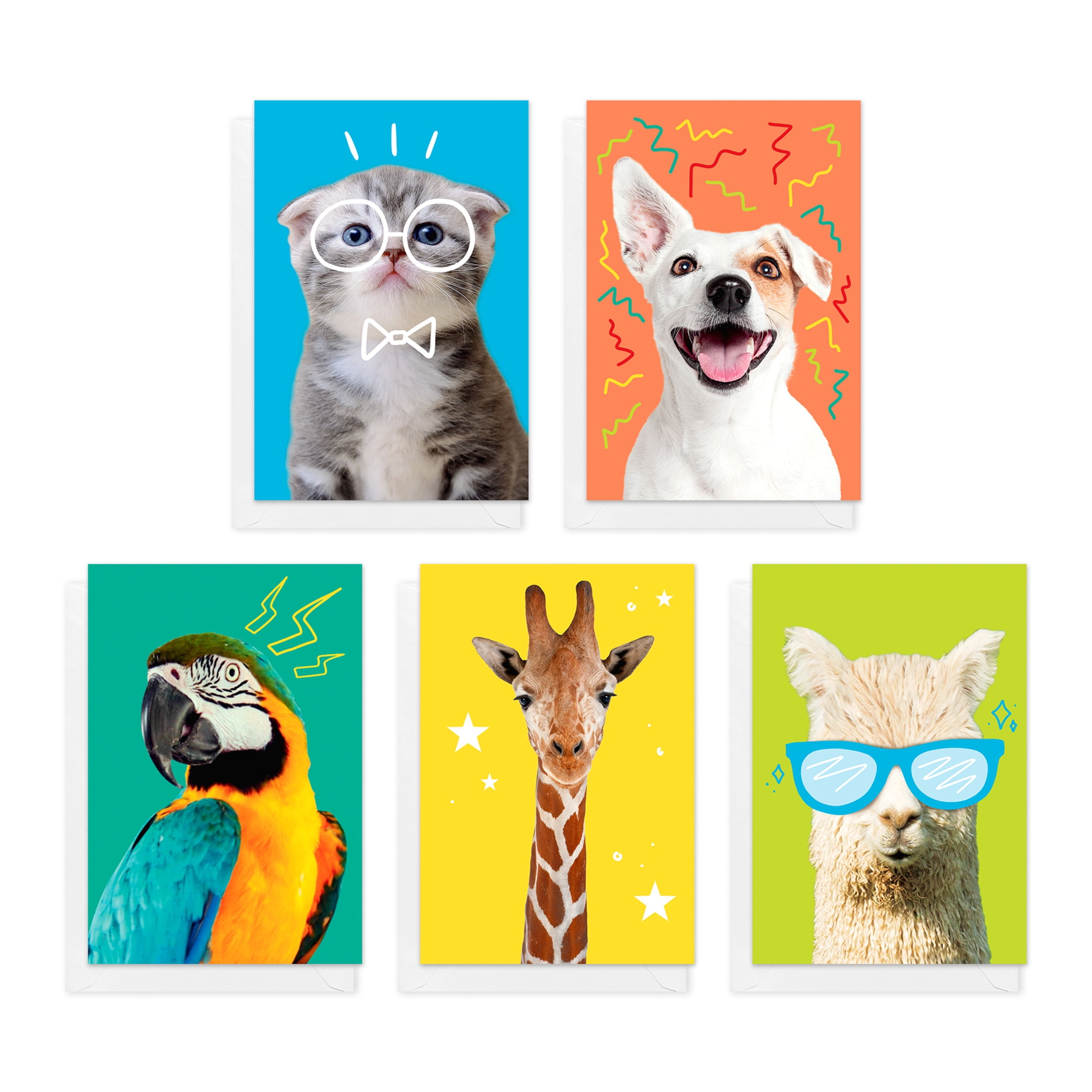 American Greetings All Occasion Card Bundle with Storage Box for Anyone ...
