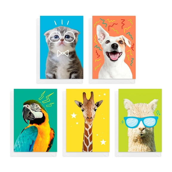 American Greetings All Occasion Card Bundle with Storage Box for Anyone, Animals (4-Designs, 20-Count)