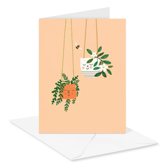 American Greetings All Occasion Blank Cards, Hanging House Plants (10-Count)