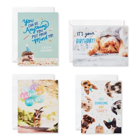 American Greetings Assorted Boxed Birthday Cards, Pets (4 Designs, 12-count)
