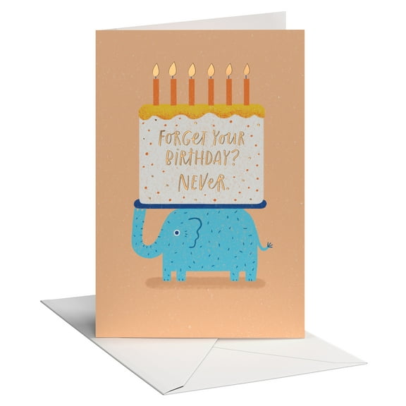 American Greetings Belated Birthday Card for Anyone (Happy Belated)