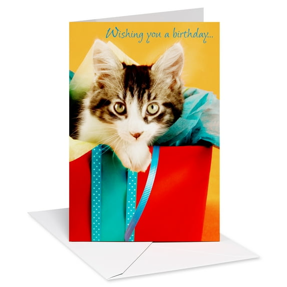 American Greetings Birthday Card (Gift Box Surprise)