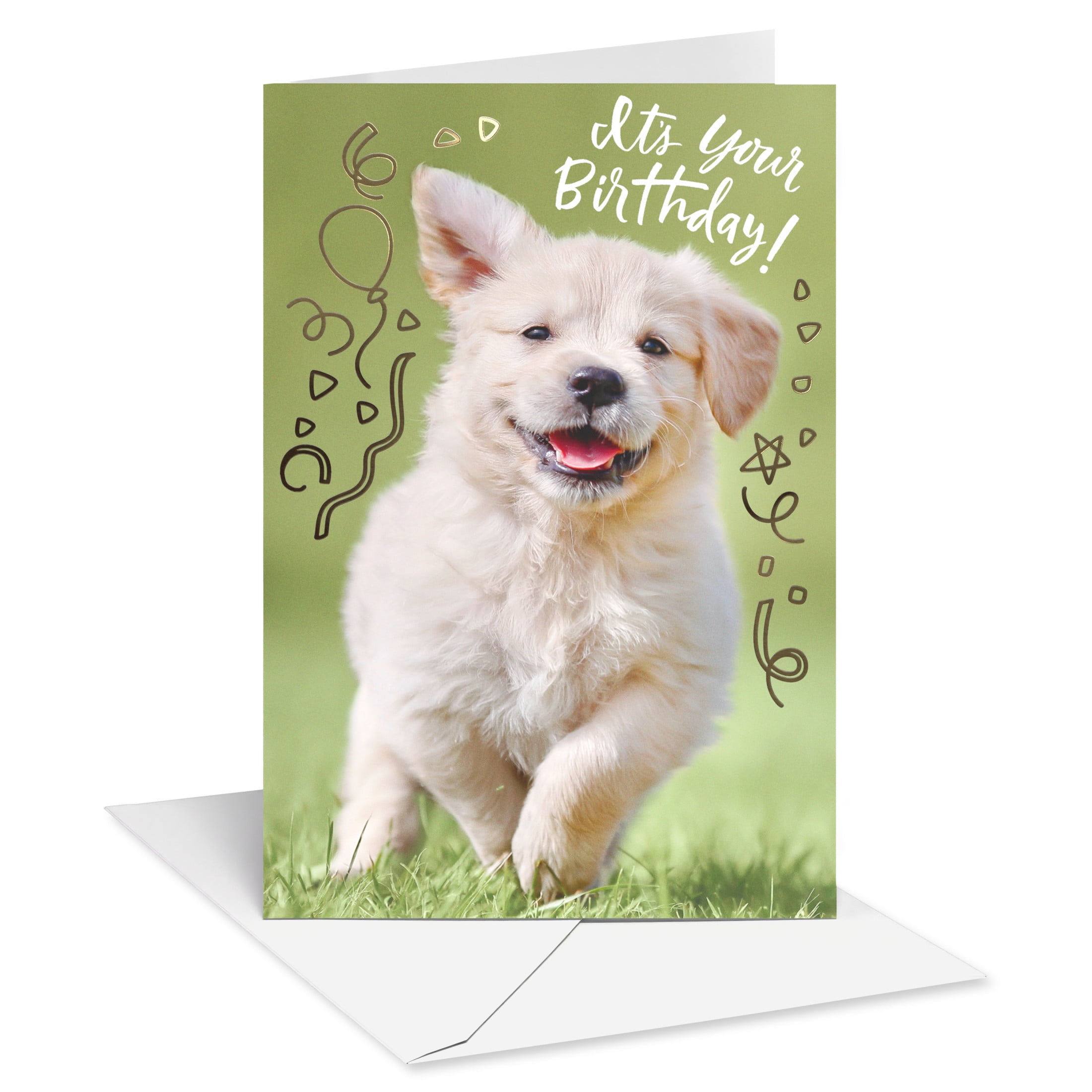 American Greetings American Greetings Birthday Card (Joyful Puppy Celebration)
