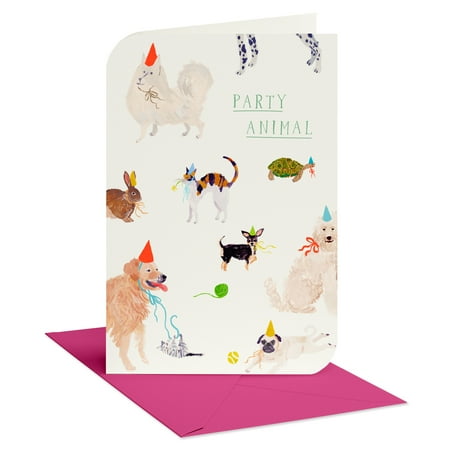 American Greetings Birthday Card for Anyone (Party Animals)