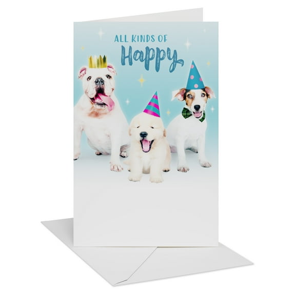 American Greetings Birthday Card for Anyone (Dogs with Party Hats)