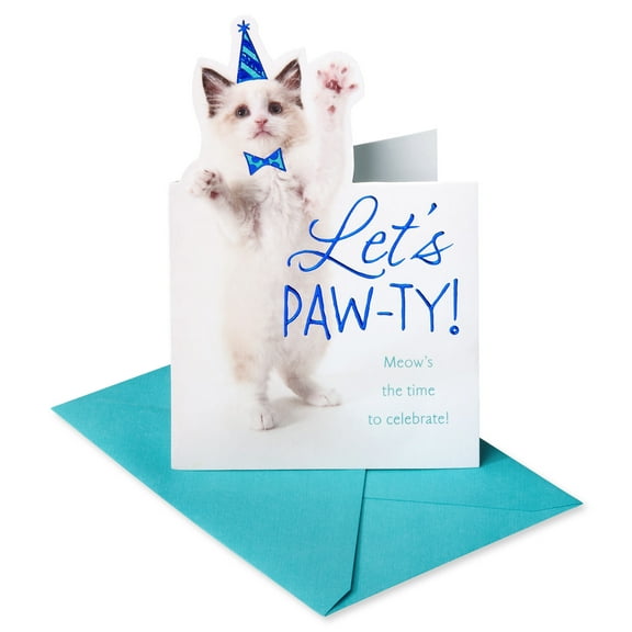 American Greetings Birthday Card for Anyone (Purr-fect)