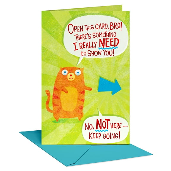 American Greetings Funny Birthday Card for Brother (Interactive Adventure)