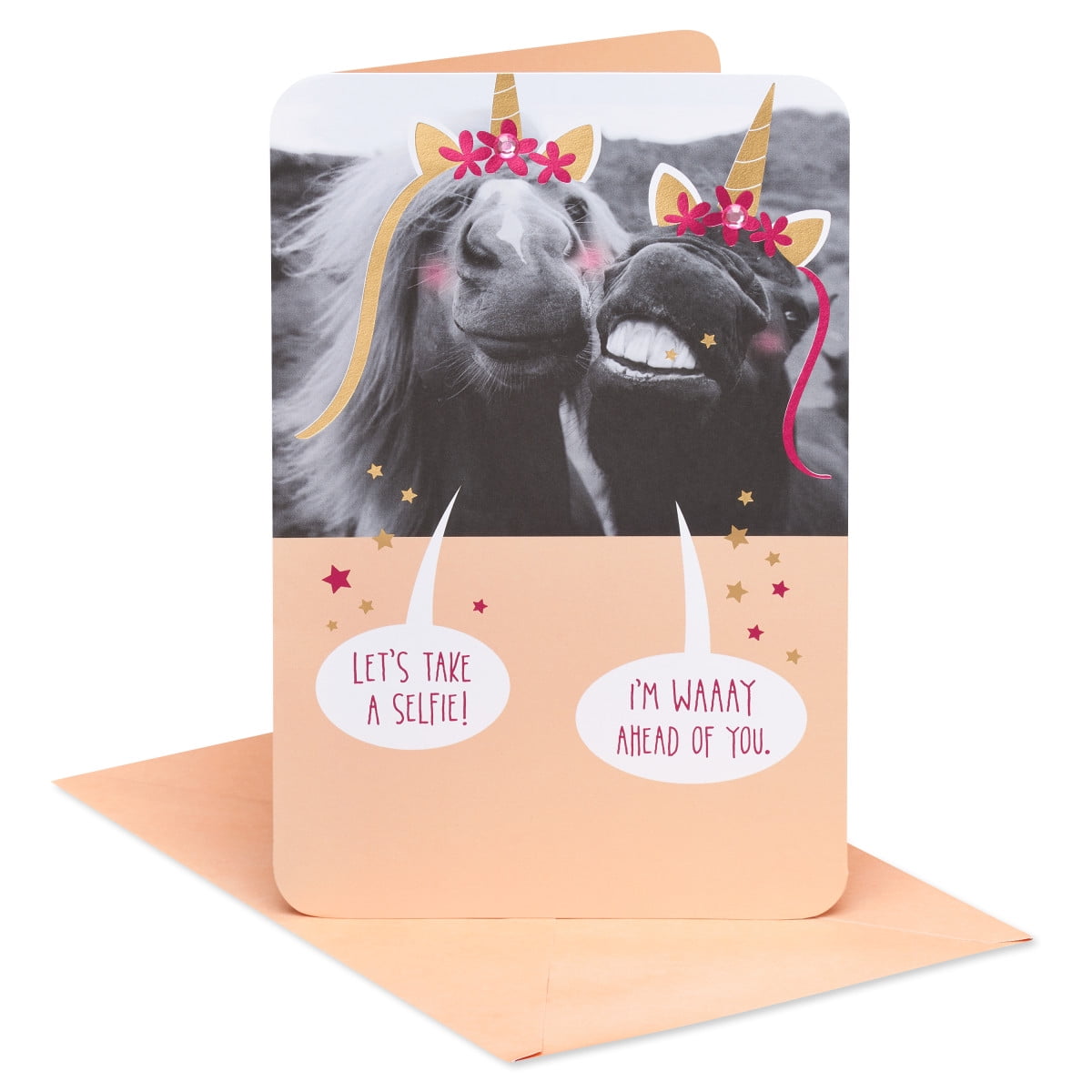 American Greetings Funny Birthday Card for Sister (Picture-Perfect)