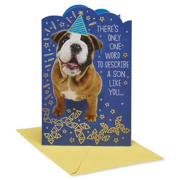 American Greetings Birthday Card for Son (One Word)