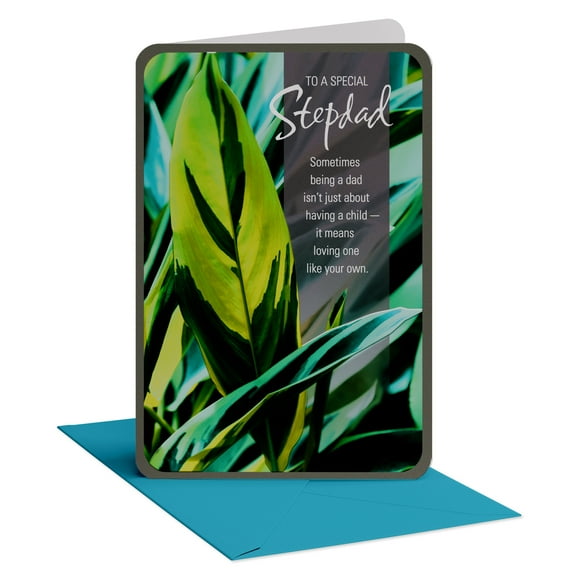 American Greetings Birthday Card for Stepdad (Heart and Soul)