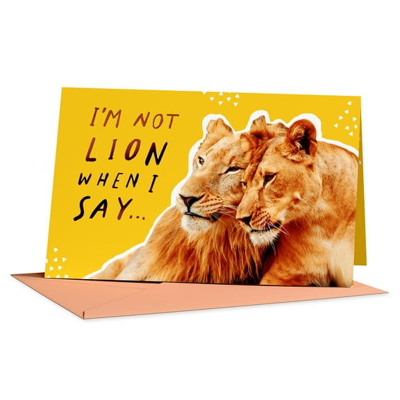 American Greetings Birthday Card for Wife (I'm Not Lion)
