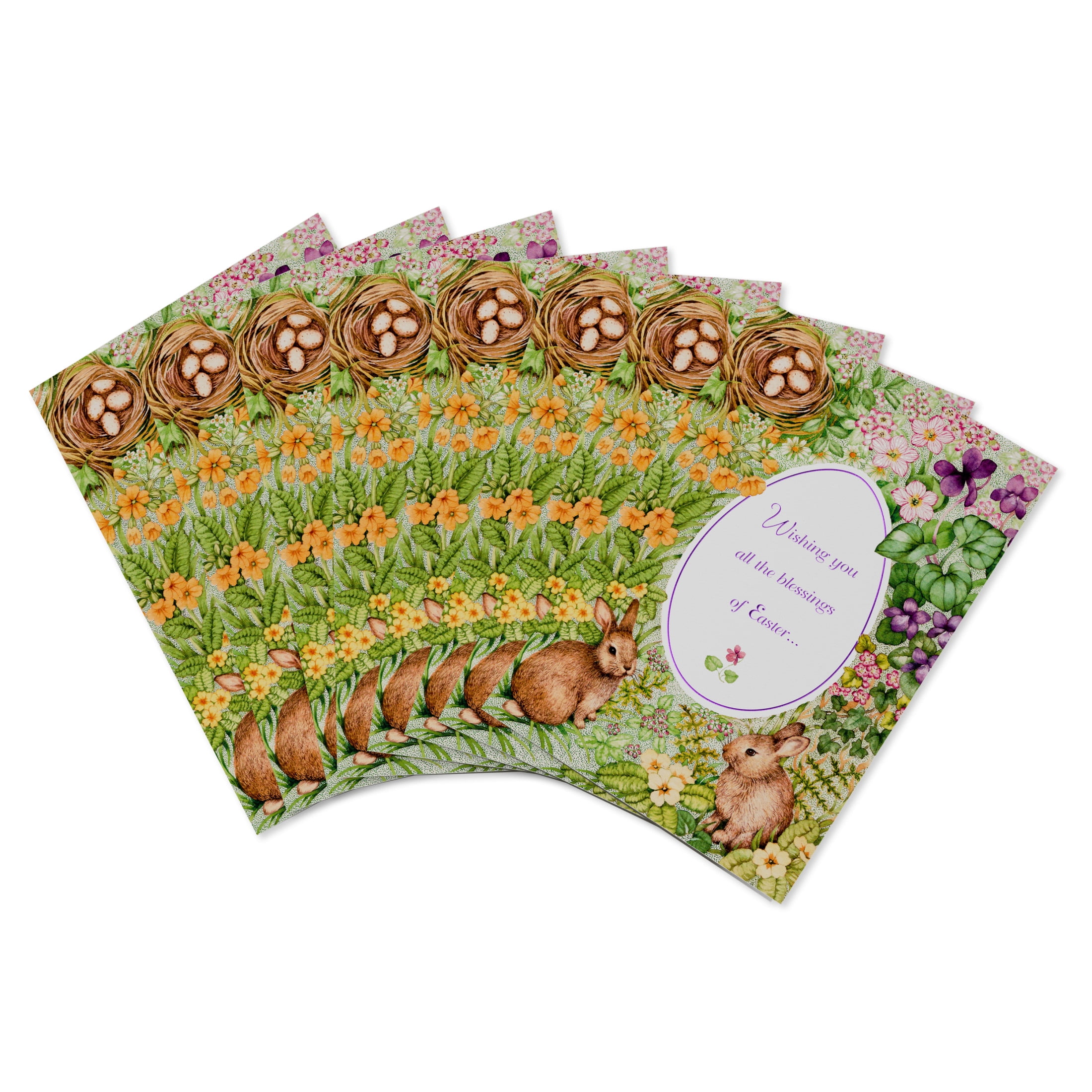 American Greetings Easter Card Bundle for Everyone, Springtime Bunnies (8-Count)
