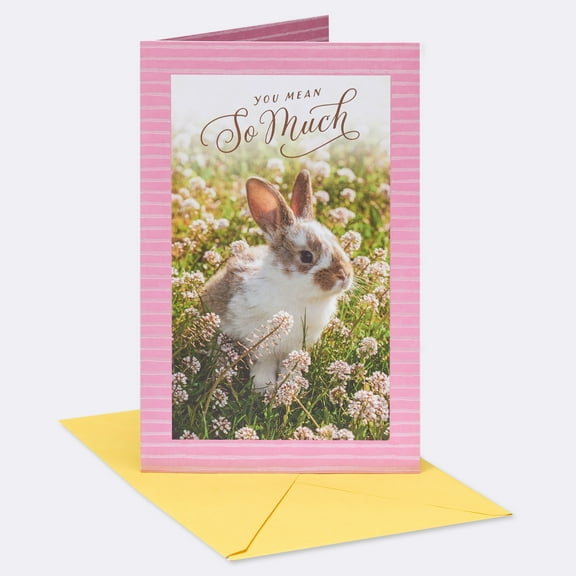American Greetings Easter Card for Anyone (Appreciated)