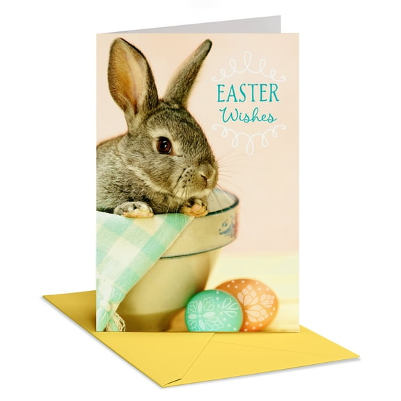 American Greetings Easter Card for Anyone (Cute Bunny and Colorful Eggs)